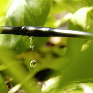 庭のための最も有利で便利な灌漑システム