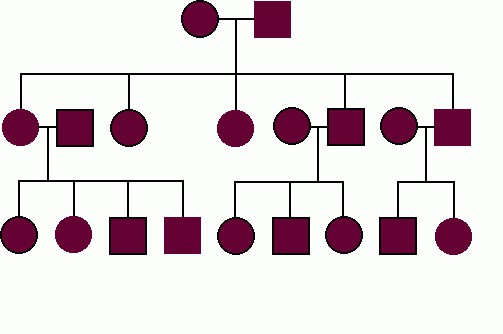 家系図のサンプル例