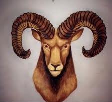 牡羊座：異なる側面からの黄道帯のサインの特性