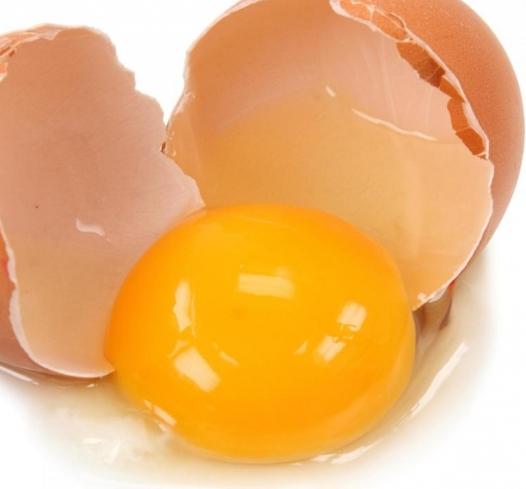 家庭での卵の賞味期限