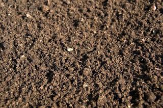 土壌：土壌の種類。土壌の特徴