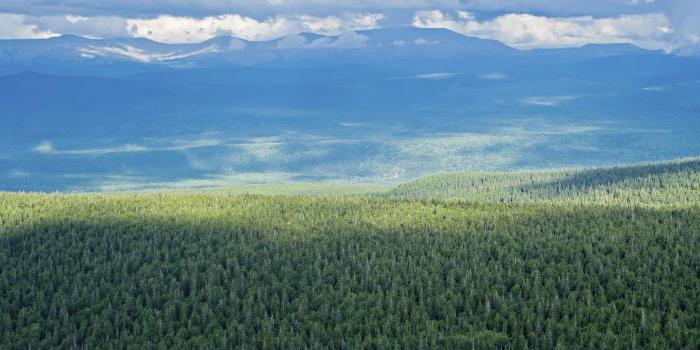 ロシアの地理的位置の主な特徴