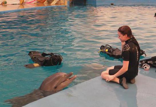 Anapa Dolphinarium：アドレス、説明、批評