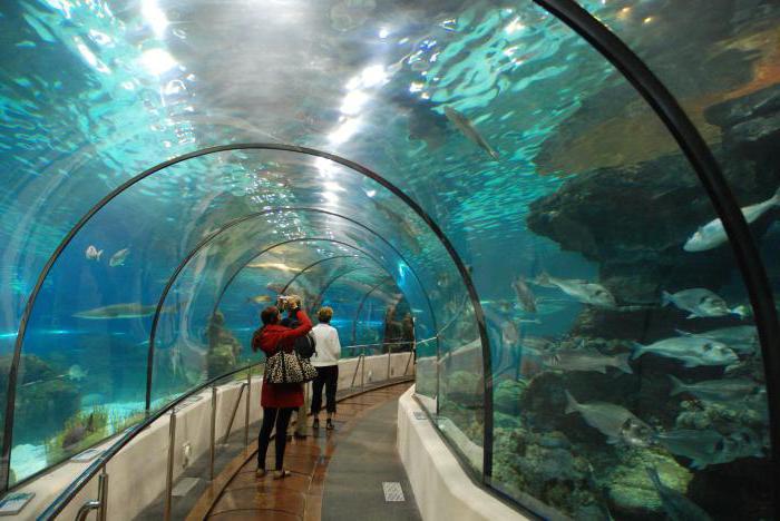 バルセロナの水族館