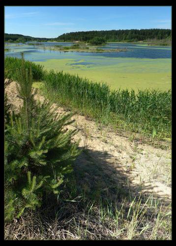 残念ながら前例のない快活さのチャンス -  Blue Lakes Lukhovitsy