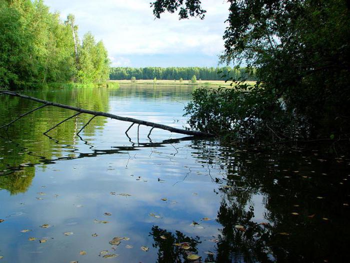 Verkhnoruzskoe Reservoir：説明、釣り、写真