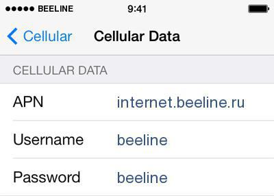 iphone 5s beelineでインターネットを設定する方法