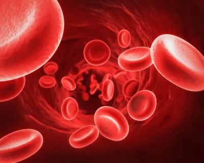 男性と女性の血液中のヘモグロビンの基準は何ですか？
