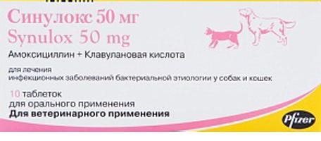 sinulox 50